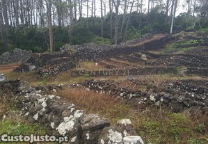 Terreno de 12.110 m na Encantadora Ilha do Pico - Aores!