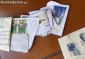 imagem_8
