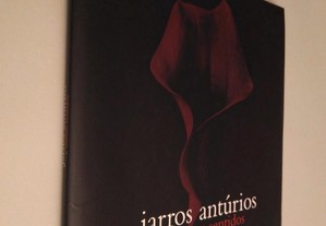 imagem_2