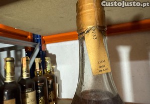 imagem_4