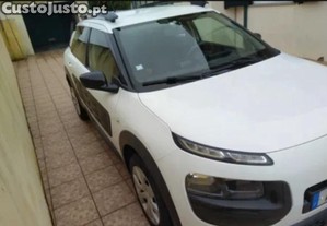 Citron C4 Cactus - 14