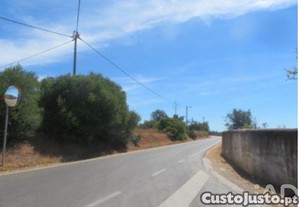 imagem_8