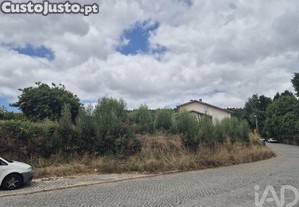 imagem_11