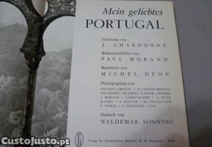 imagem_2