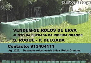 imagem_2