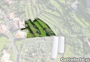 imagem_13