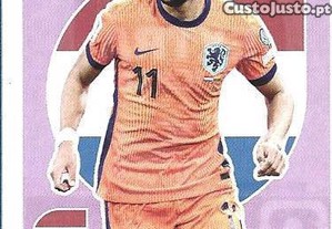imagem_1