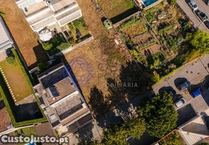 imagem_8