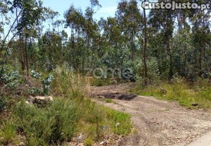 Terreno Florestal 20000 M2 Em Vilarinho Das Cambas