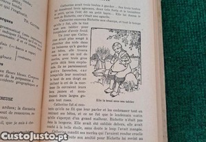 imagem_8