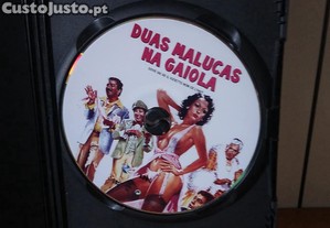 imagem_8
