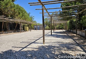 imagem_28