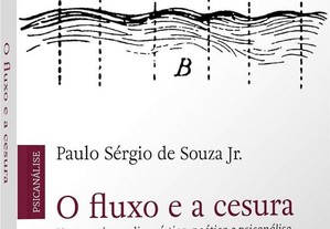 O Fluxo e a Cesura: um Ensaio em Linguística, Poética e Psicanálise (Volume 1)