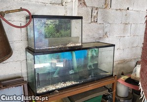 Aquarios para peixes