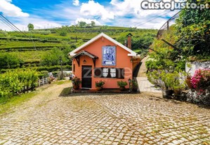 Quinta No Douro, São João De Fontoura, Resende