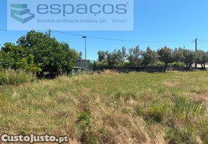 Terreno Permetro Urbano