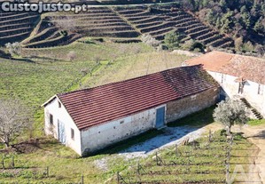 imagem_24