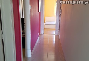 imagem_8