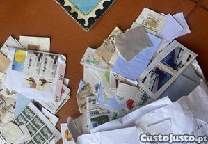 imagem_2