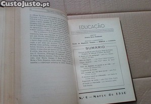 imagem_7