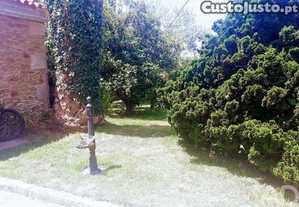 imagem_24