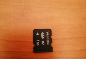 Cartão de memória M2 de 1GB