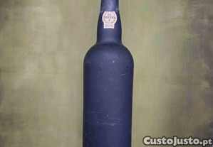 imagem_4