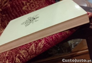 imagem_6