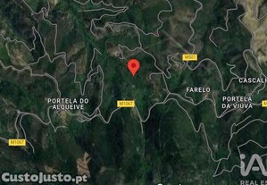 Terreno em Monchique de 21984,00 m