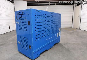 Canil transporte animais