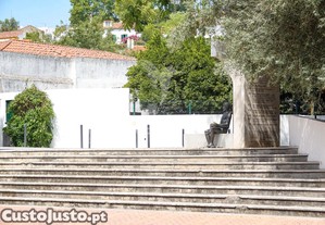 imagem_11