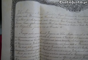 imagem_7