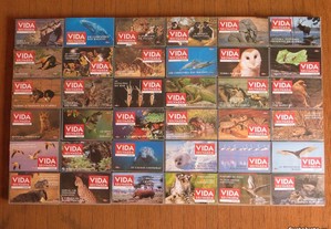 Enciclopédia da Vida Selvagem - 36 cassetes VHS