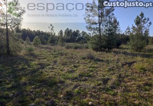 Terreno Agrcola - S. Domingos