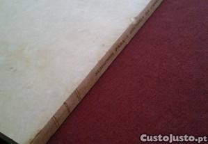 imagem_8