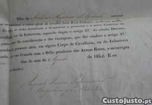 imagem_6