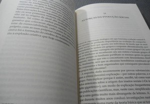 imagem_8
