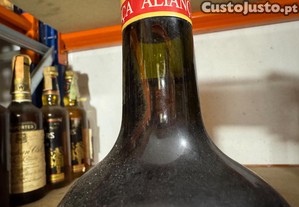 imagem_3