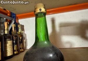 imagem_3