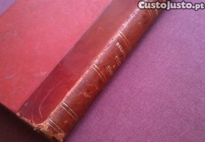imagem_6