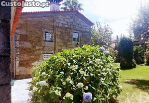 imagem_29