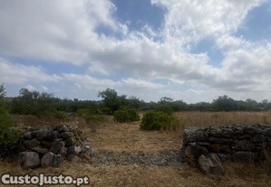 imagem_23