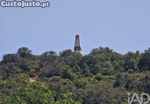 imagem_14