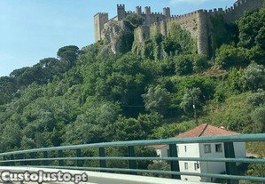imagem_11