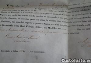 imagem_3