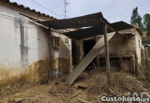 imagem_8