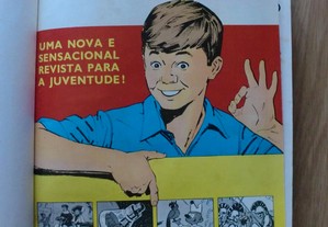 imagem_2
