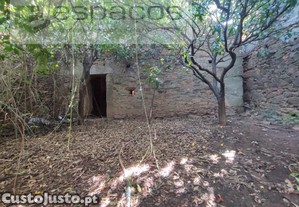 Arrumo Agrcola Com Quintal