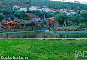imagem_9