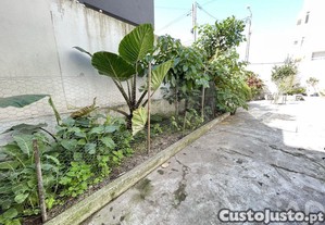 imagem_24
